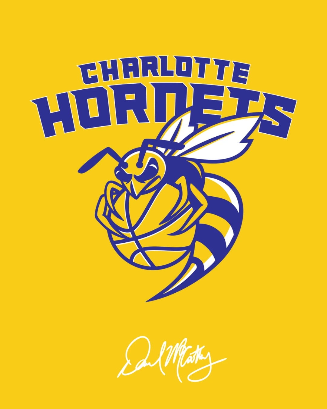 Charlotte Hornets rebrand concept