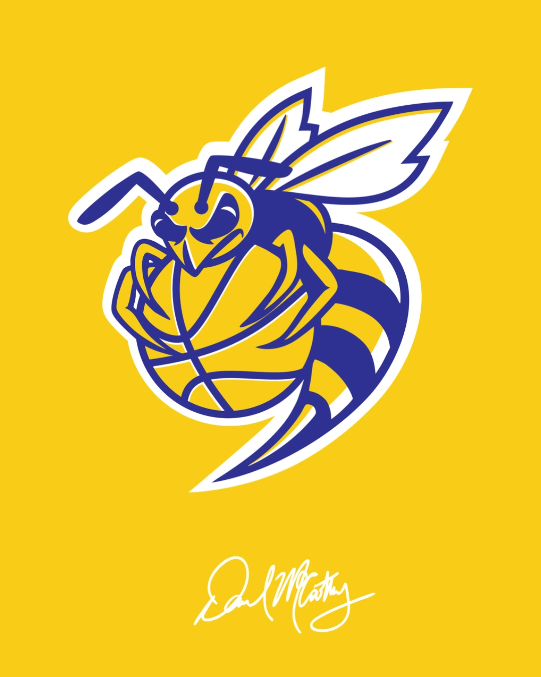 Charlotte Hornets rebrand concept