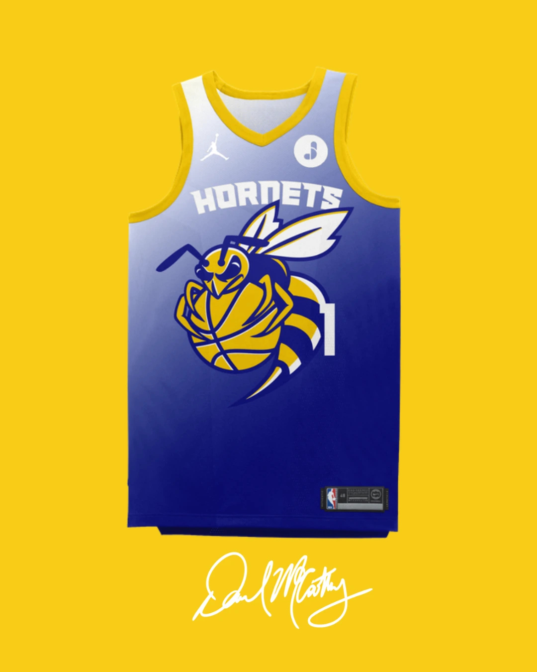 Charlotte Hornets rebrand concept
