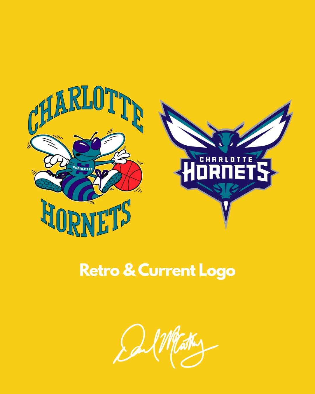 Charlotte Hornets rebrand concept