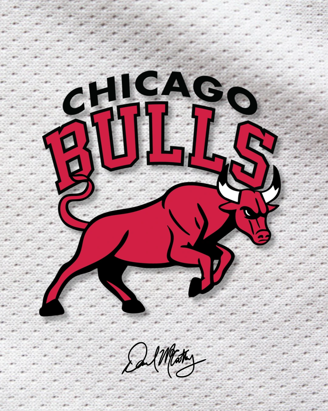 Chicago Bulls rebrand concept