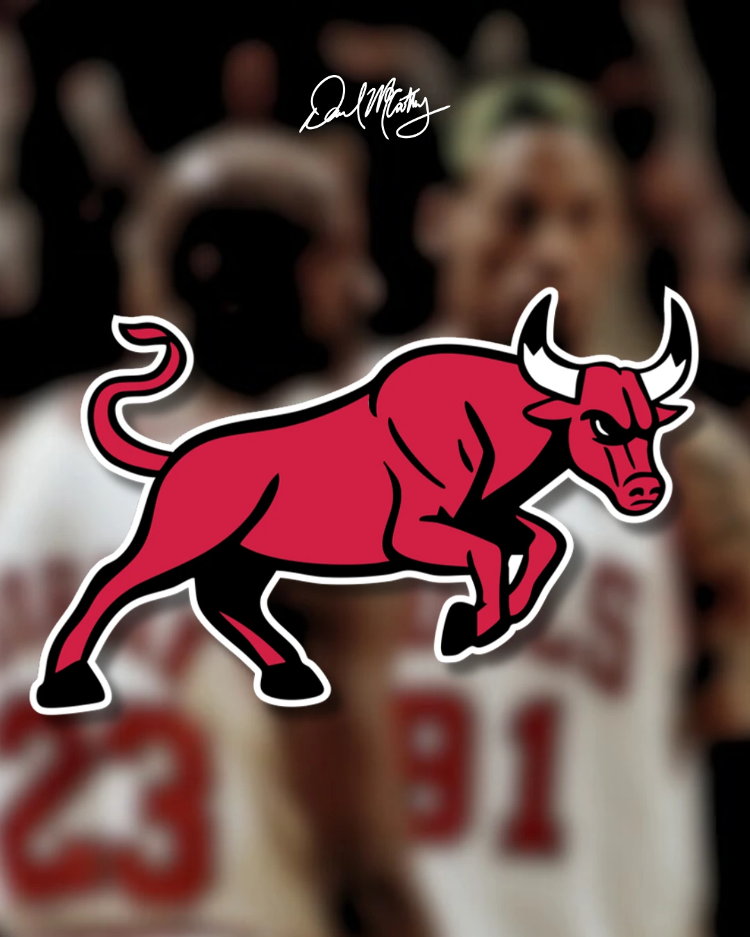Chicago Bulls rebrand concept