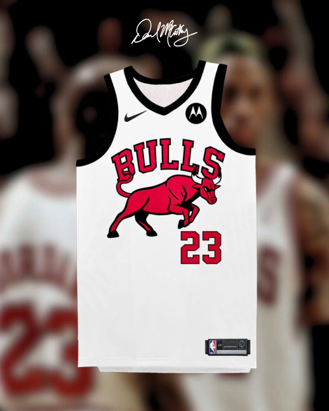 Chicago Bulls rebrand concept