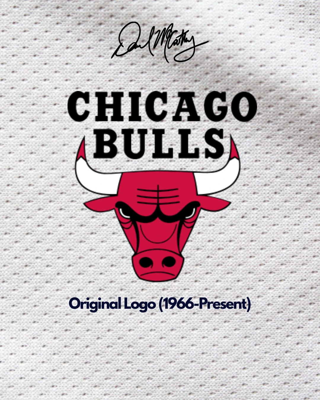 Chicago Bulls rebrand concept