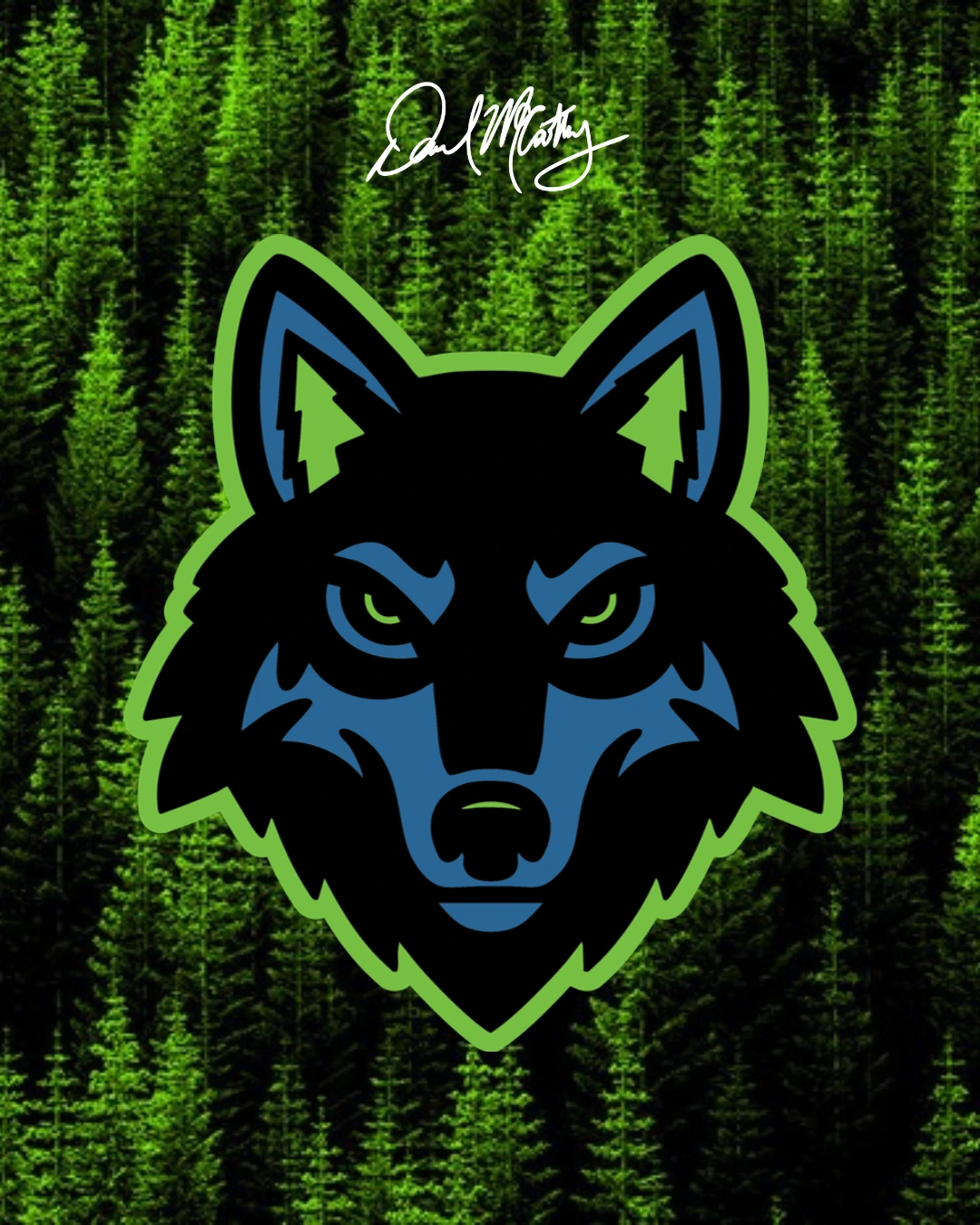 Minnesota Timberwolves rebrand concept