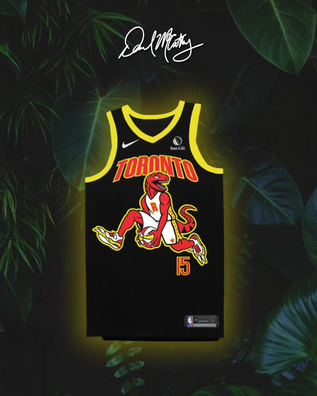 Toronto Raptors rebrand concept