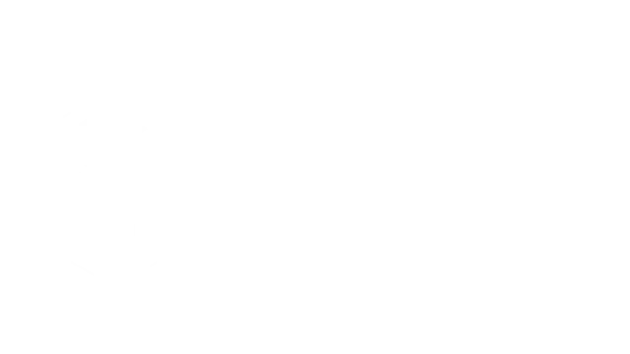 Our Computer Company